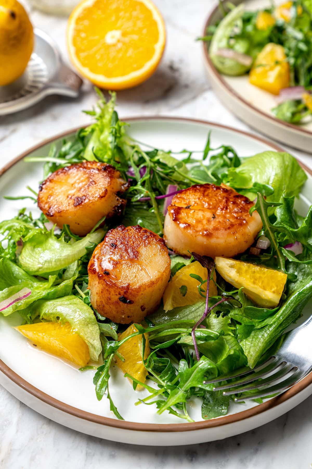 Pan seared scallops taste like a special occasion dinner but they’re easy enough for a weeknight. Serve over salad for a light, healthy meal! Seared scallops on plate with citrus salad