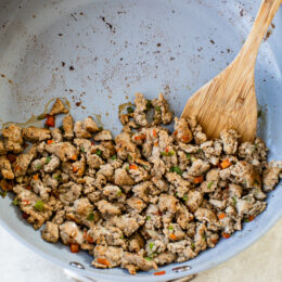 Homemade Turkey Sausage