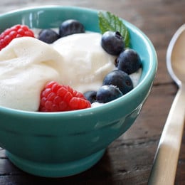 If you like the tangy taste of yogurt you'll love this low-fat homemade frozen treat made with a combination of Greek yogurt and plain yogurt and real vanilla bean.
