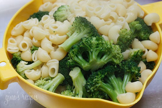 The Easiest Pasta and Broccoli Recipe that my whole family loves, including my kids. Only 5 ingredients and one pot, ready in under 15 minutes!