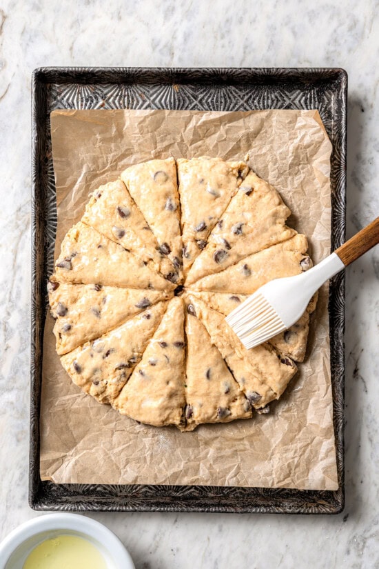 Chocolate chip scones are sweetened to perfection and studded with chocolate chips to make them taste like a treat. An easy no-fail recipe! Overhead view of chocolate chip scones being brushed with egg white