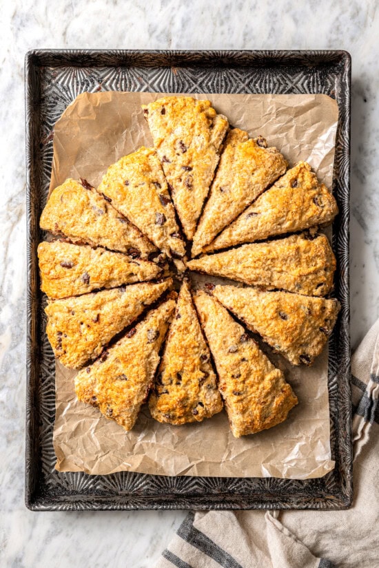 Chocolate chip scones are sweetened to perfection and studded with chocolate chips to make them taste like a treat. An easy no-fail recipe! Overhead view of baked chocolate chip scones on parchment-lined baking sheet