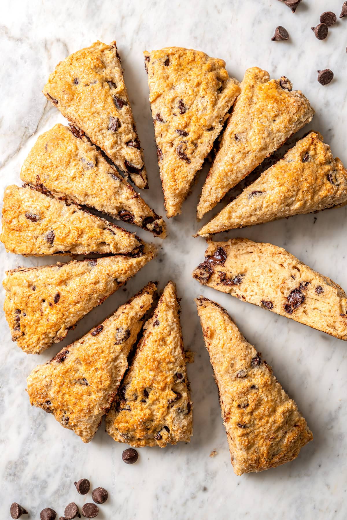 Chocolate chip scones are sweetened to perfection and studded with chocolate chips to make them taste like a treat. An easy no-fail recipe! Overhead view of chocolate chip scones arranged in circle