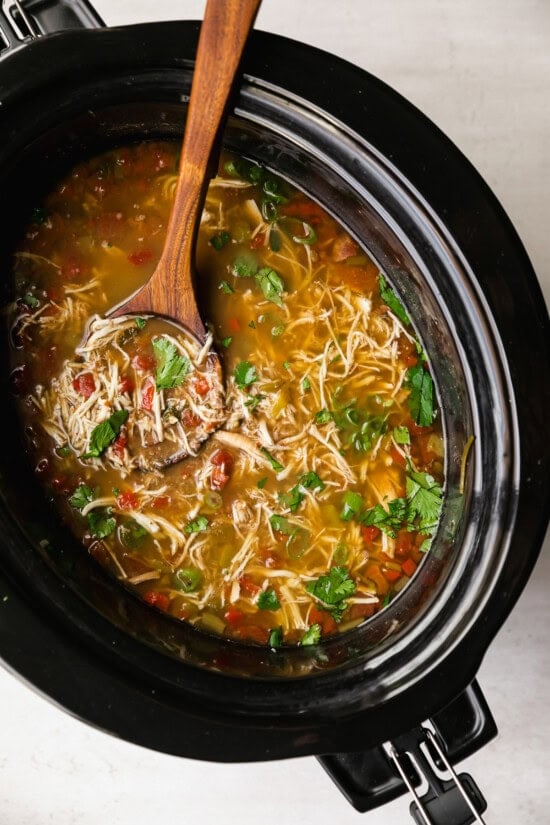Slow Cooker Chicken and Black Bean Soup