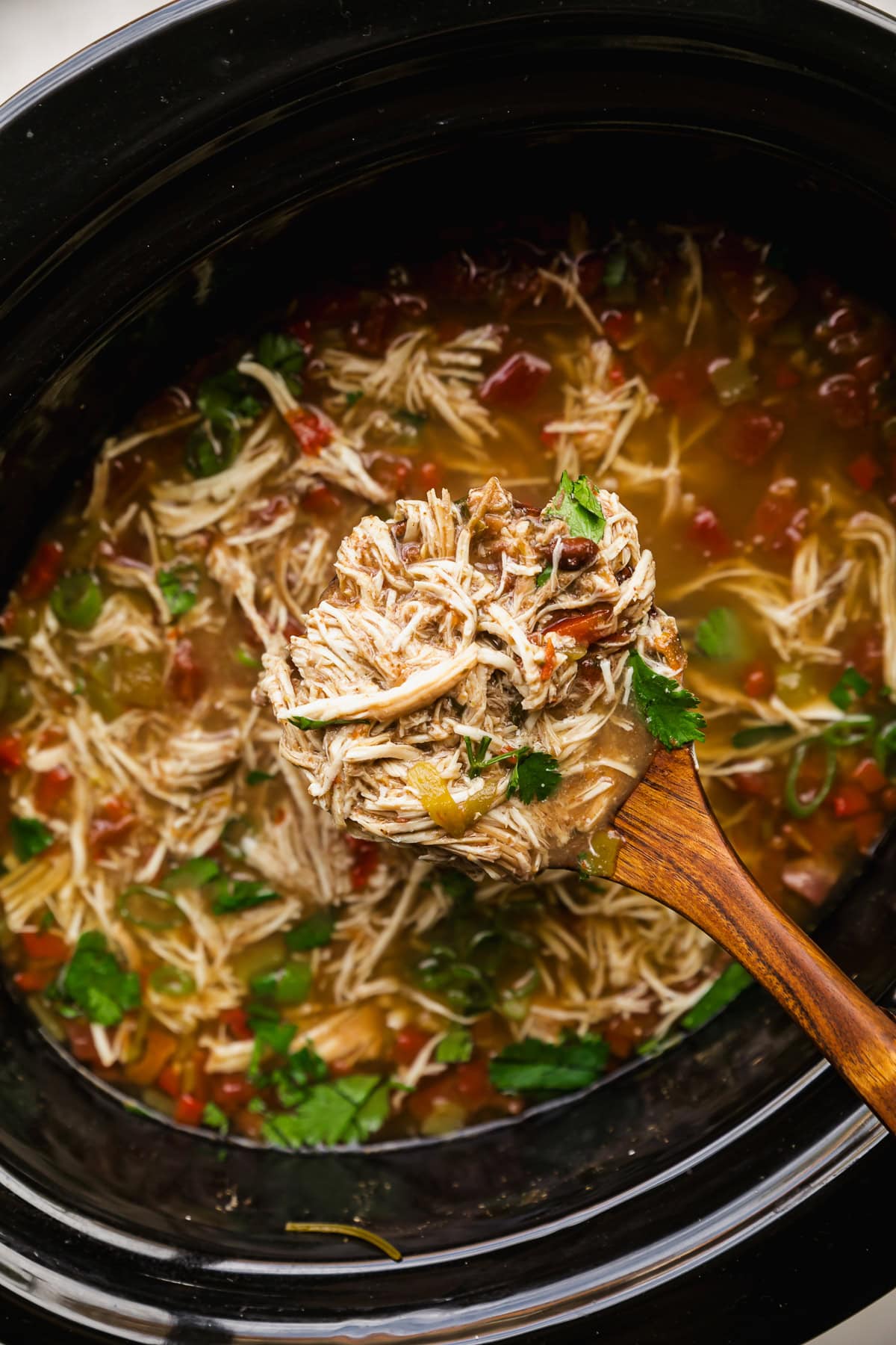 Crockpot Chicken and Black Bean Soup