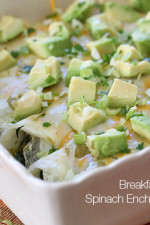 These easy low carb breakfast enchiladas are gluten-free, grain-free and vegetarian using egg whites as a "tortilla" - perfect for vegetarians and keto diets!