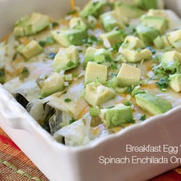 These easy low carb breakfast enchiladas are gluten-free, grain-free and vegetarian using egg whites as a "tortilla" - perfect for vegetarians and keto diets!