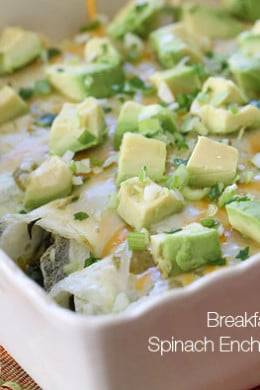 These easy low carb breakfast enchiladas are gluten-free, grain-free and vegetarian using egg whites as a "tortilla" - perfect for vegetarians and keto diets!