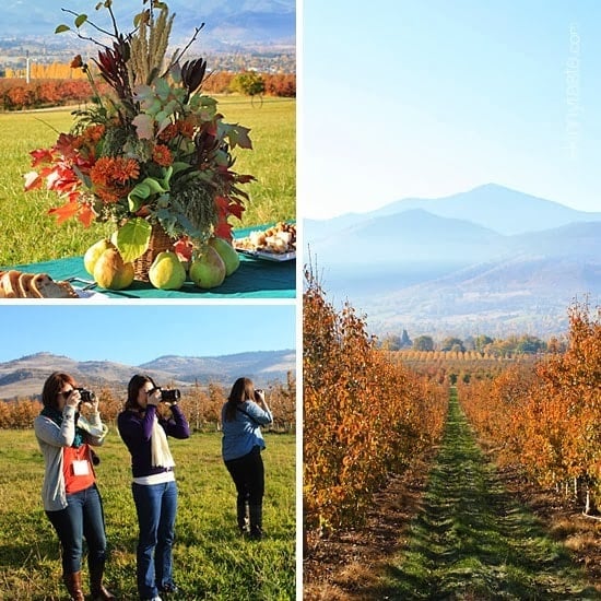A fall centerpiece arrangement surrounded by pears, three women taking pictures with rolling hills in the background, a fall scene with a path at an orchard leading to a field and mountains in the background