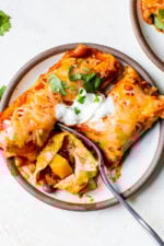Easy vegetarian enchiladas made with butternut squash and black beans, smothered with enchilada sauce and cheese, then baked in the oven. A delicious recipe that's perfect for meatless Mondays!
