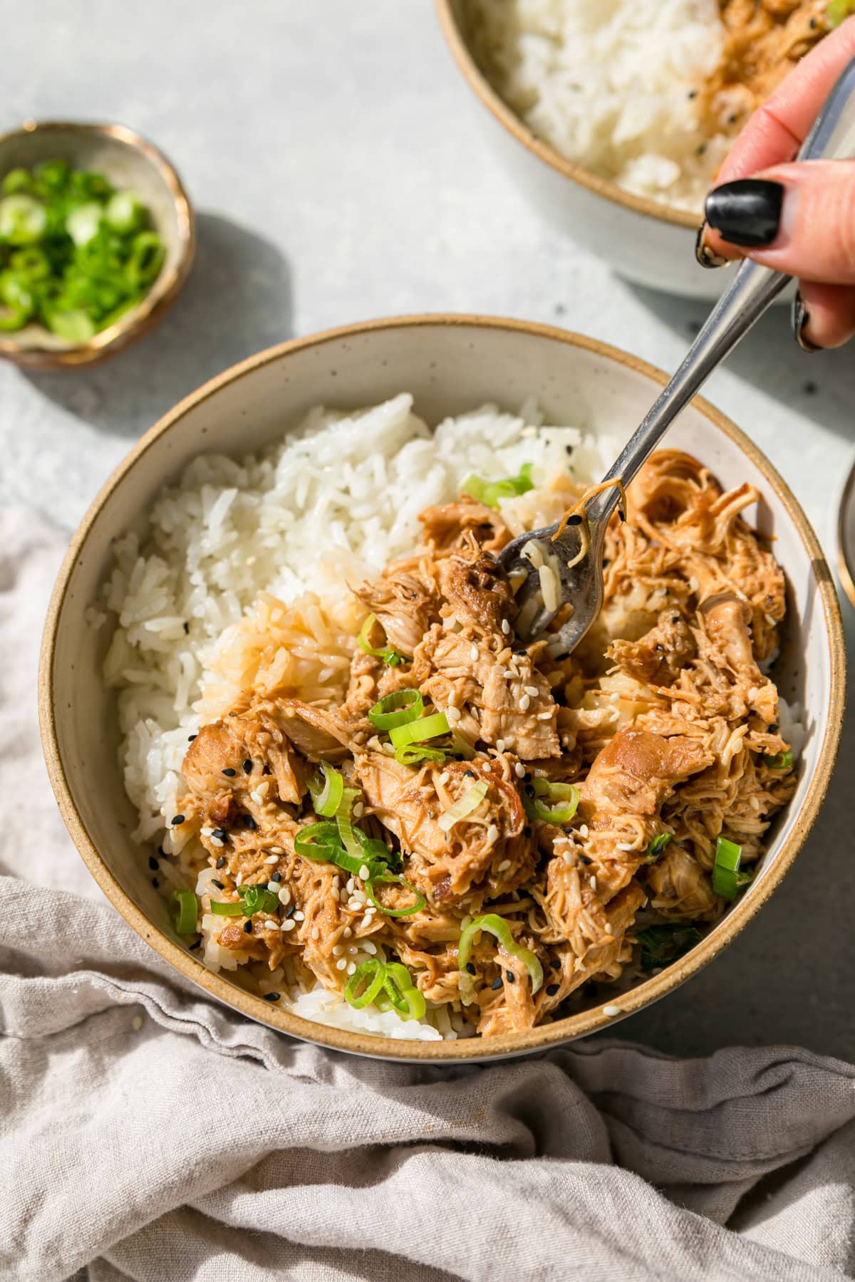 Sesame Chicken with rice