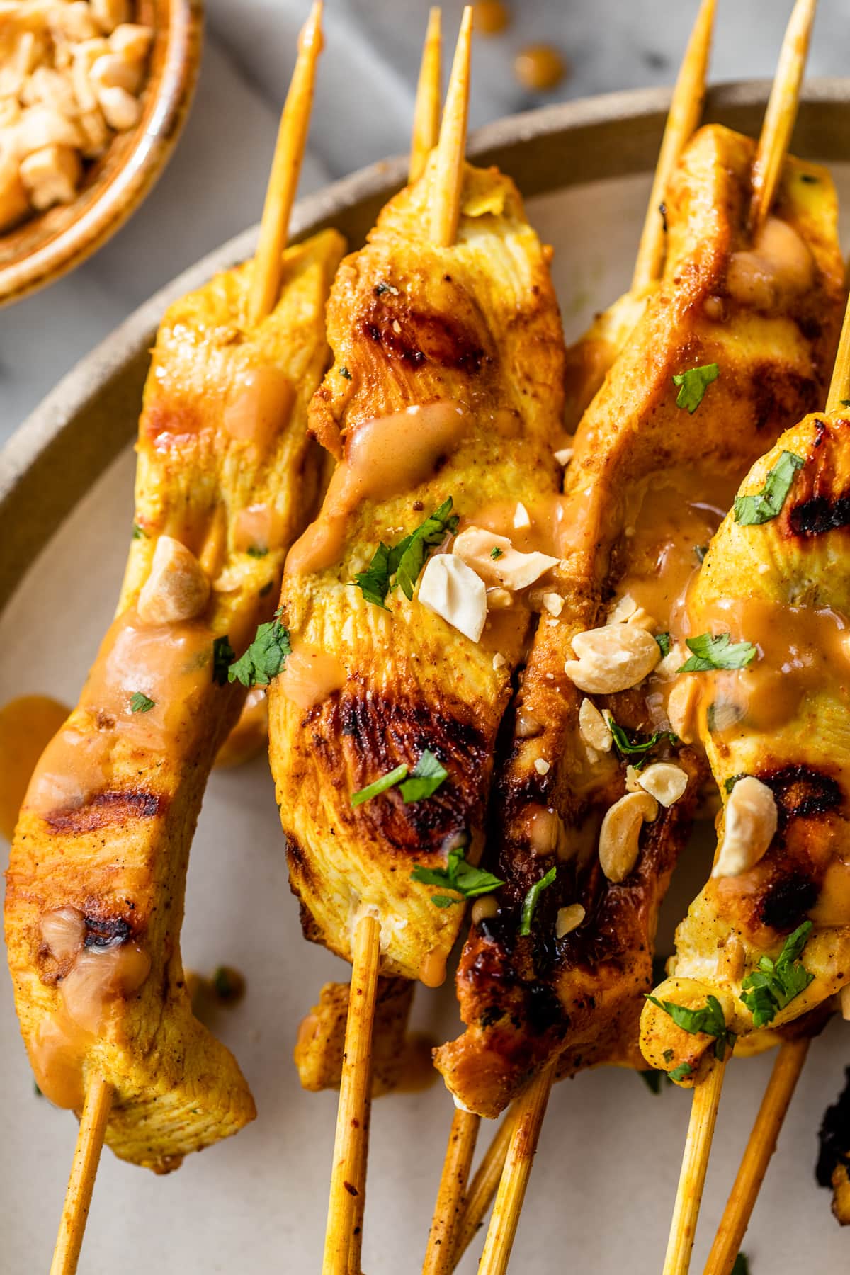 Chicken Satay with Peanut Sauce