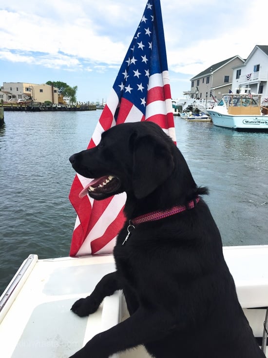 Skillet Fish Fillet with Tomatoes, White Wine and Capers-9