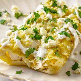 Two enchiladas verdes on a plate