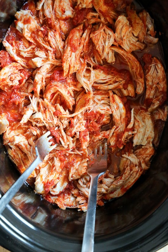 Shredded Harrisa Shredded Chicken