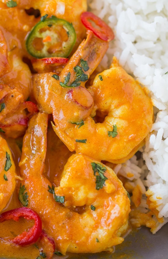 Indian Shrimp Curry made with coconut milk, tomato sauce and warm Indian spices is a quick 20 minute curry dish you can enjoy any day of the week! Up close Indian Shrimp Curry