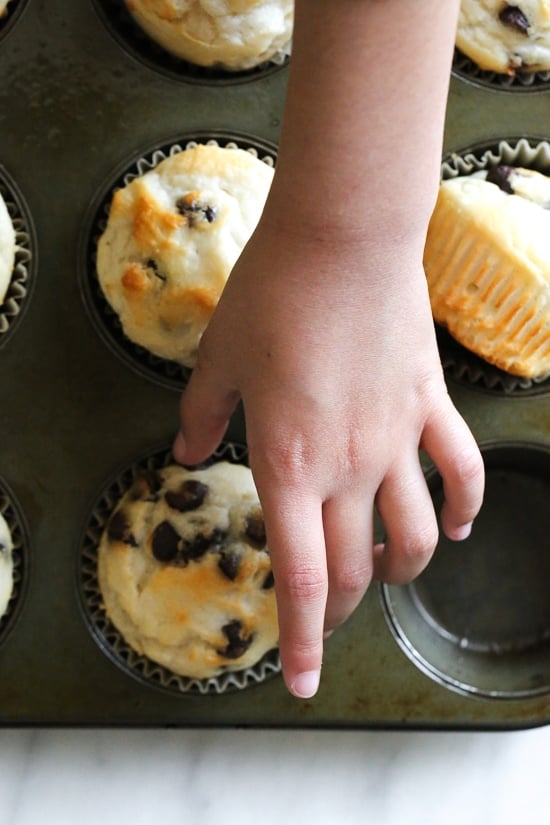 These easy chocolate chip muffins are moist and high in protein thanks to the addition of Greek yogurt. The perfect to make ahead breakfast! Hand reaching for chocolate chip muffin in pan