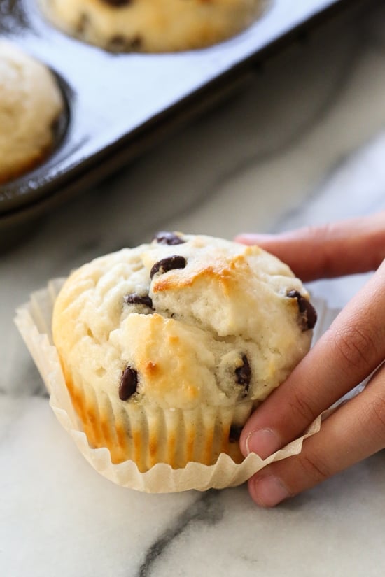 These easy chocolate chip muffins are moist and high in protein thanks to the addition of Greek yogurt. The perfect to make ahead breakfast! Hand grabbing healthy chocolate chip muffin