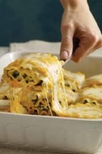 Butternut Squash Lasagna Roll Ups