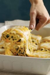 Butternut Squash Lasagna Roll Ups