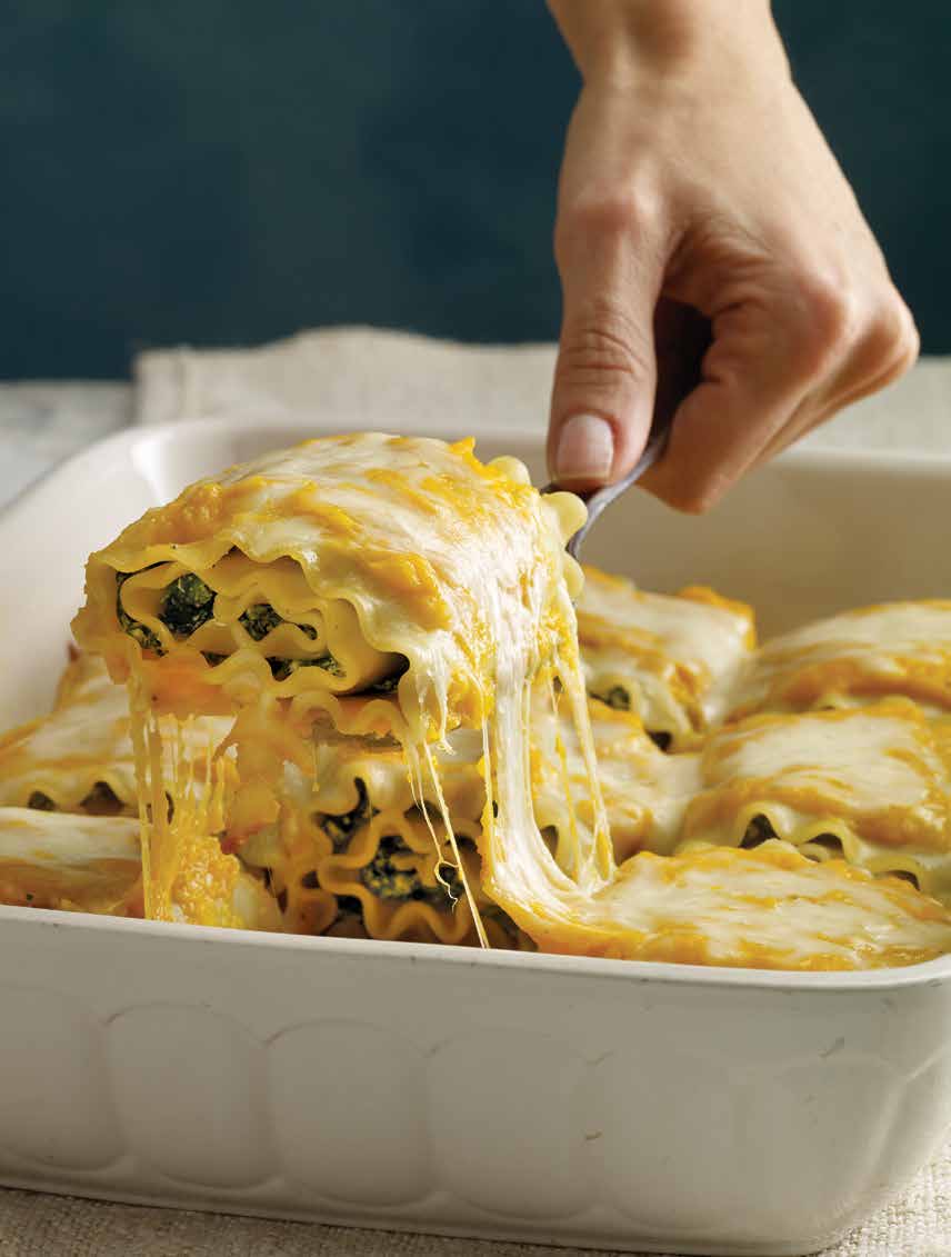 Butternut Squash Lasagna Roll Ups