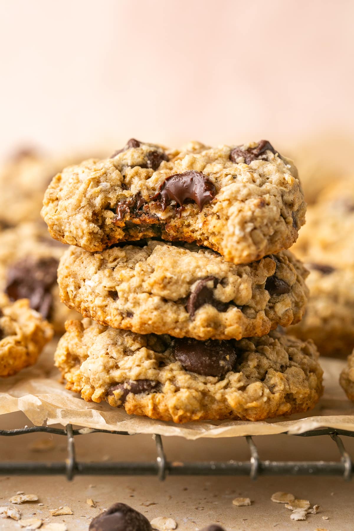 Oatmeal Chocolate Chip Cookies