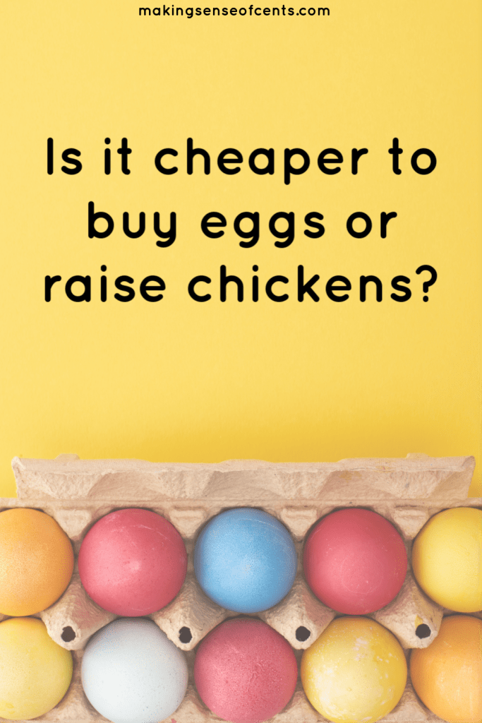 raising backyard chickens for eggs