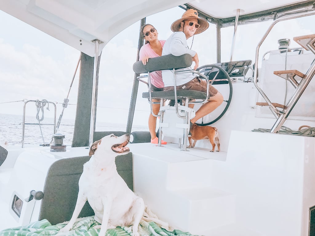 traveling with dogs by boat