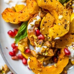Roasted Delicata Squash with Burrata, Pomegranate and Pistachios