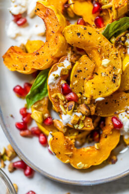 Roasted Delicata Squash with Burrata, Pomegranate and Pistachios