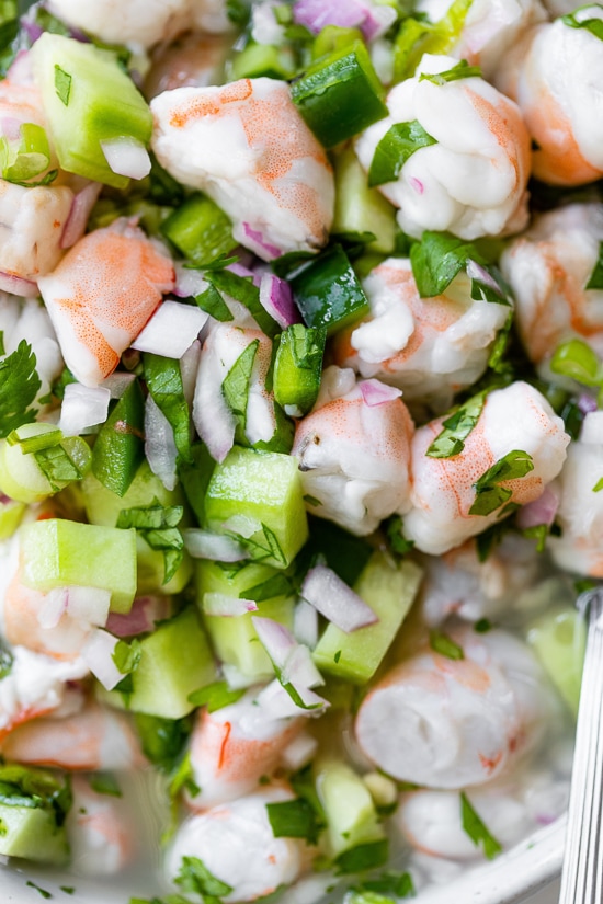 Shrimp Ceviche macro