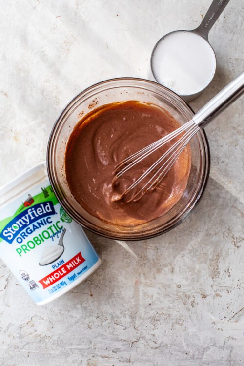 How To Make Chocolate Frozen Yogurt