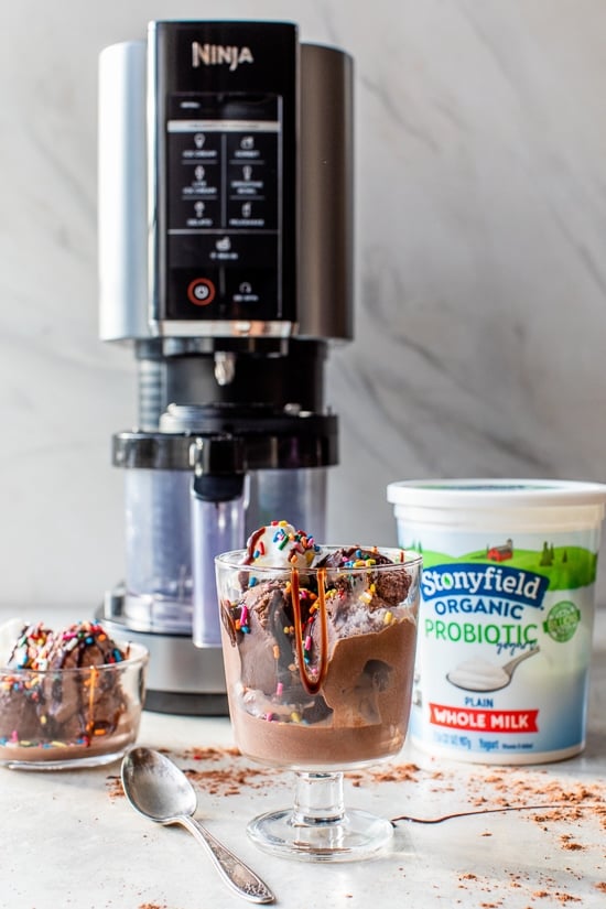 Chocolate Frozen Yogurt in the Ninja Creami
