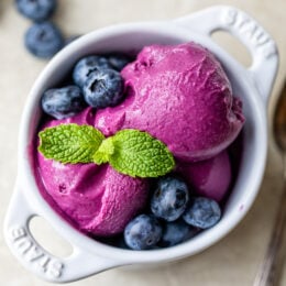 Blueberry Frozen Yogurt