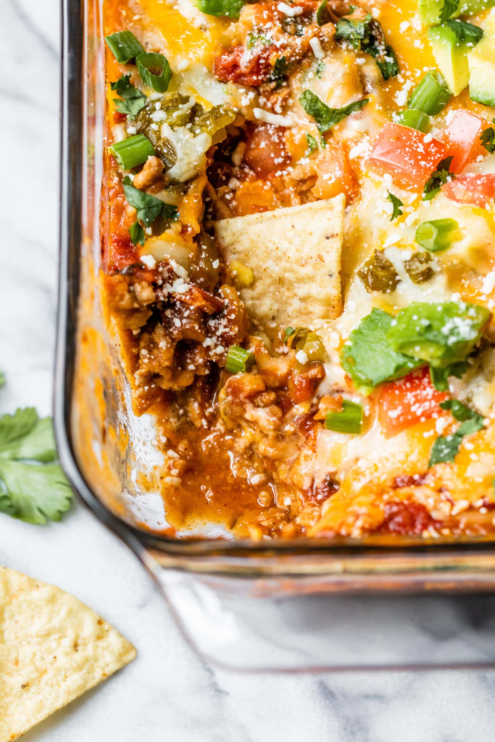 Mexican Layer Dip
