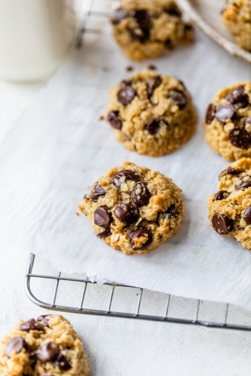 chocolate chip oat cookies