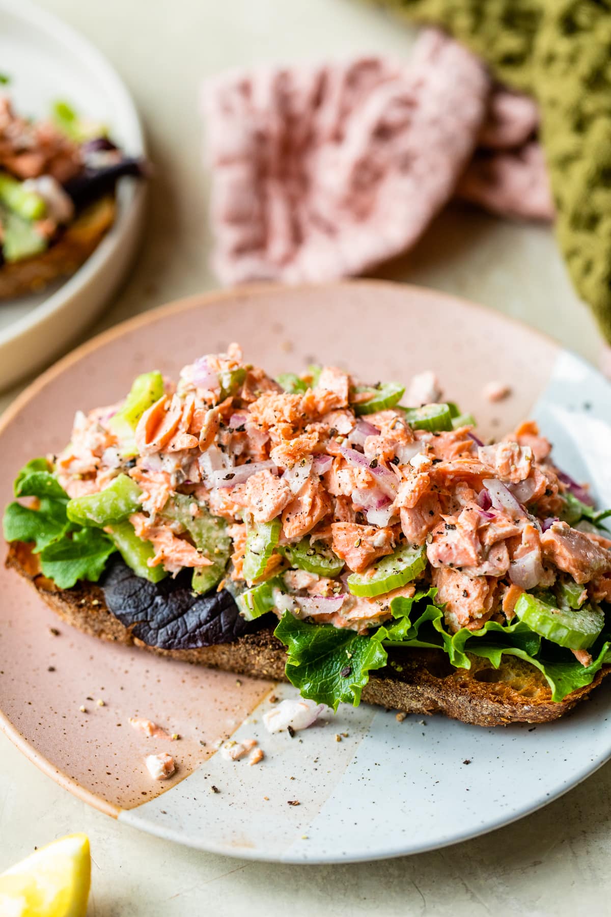 Salmon Salad Toast