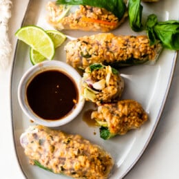 Chicken Summer Rolls with hoisin sauce