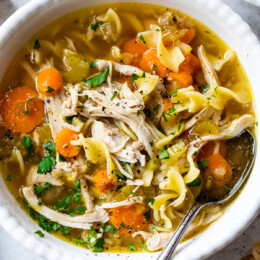 Instant Pot Chicken Noodle Soup