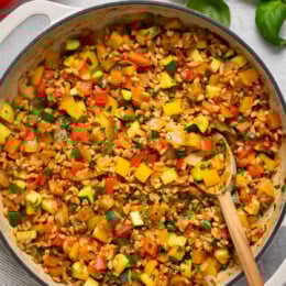 Ratatouille with Farro