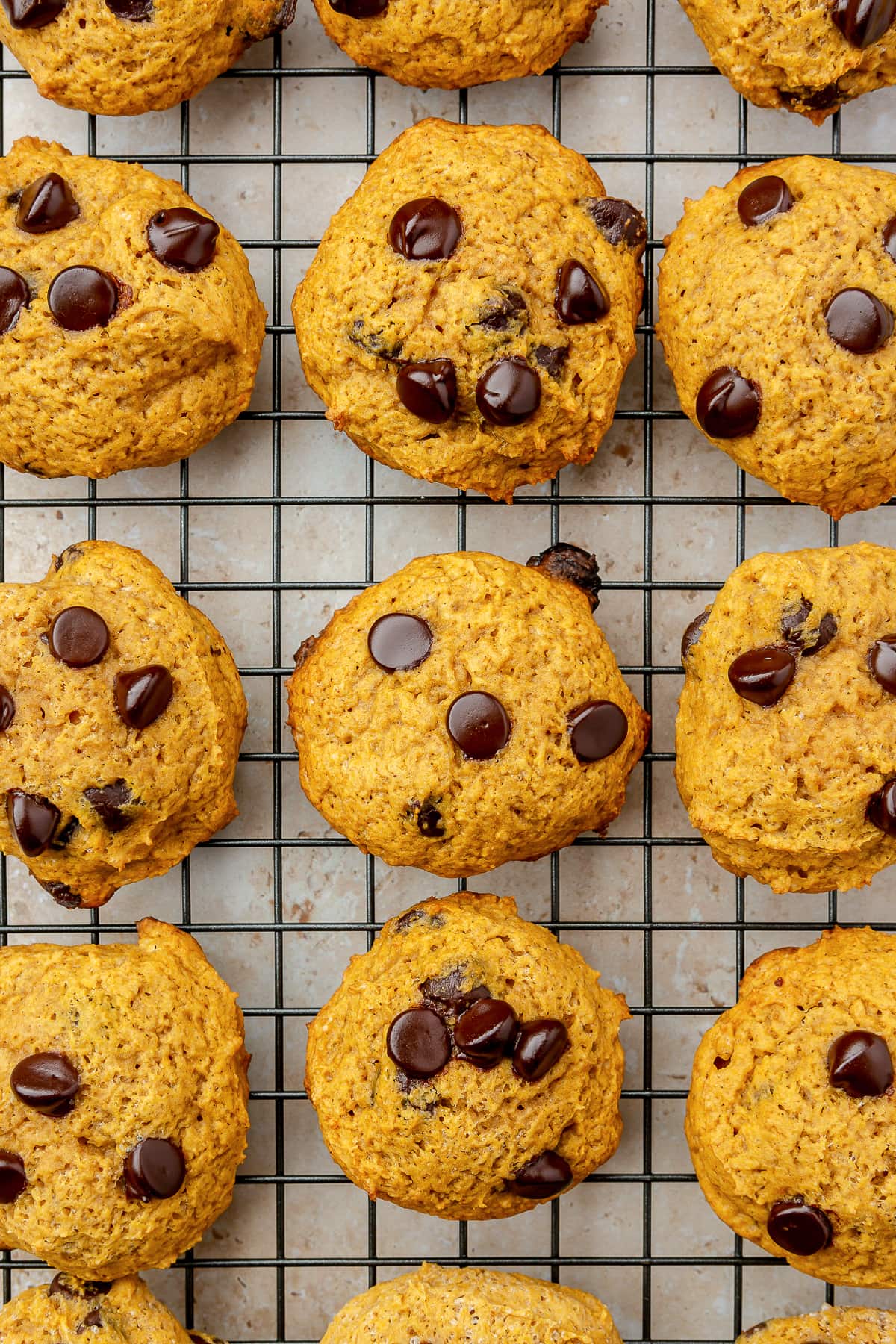 Soft Pumpkin Chocolate Chip Cookies, made with pumpkin puree, pumpkin spice, and cream cheese, have a cake-like texture and pumpkin flavor! pumpkin chocolate chip cookies on a wire rack