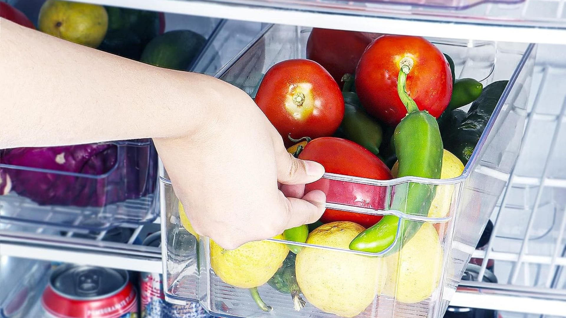 Best fridge organizers