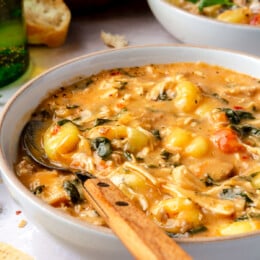 Chicken Gnocchi Soup