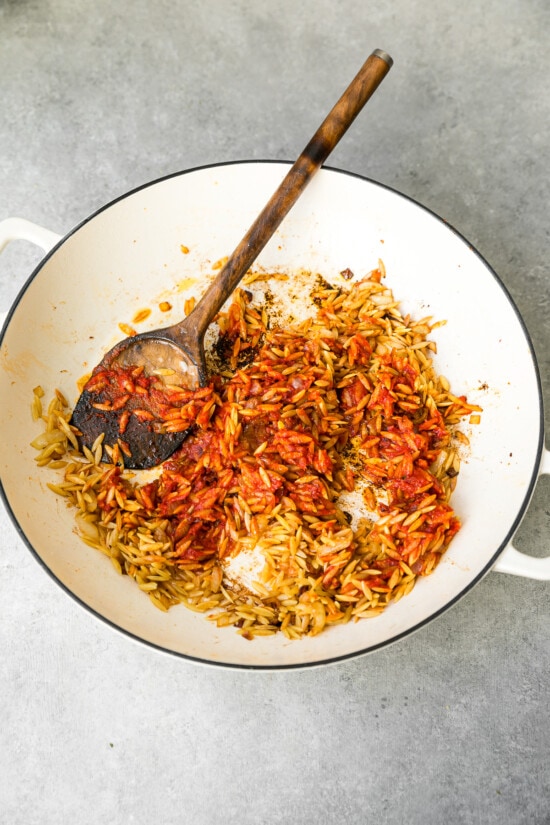 add the orzo and tomato paste