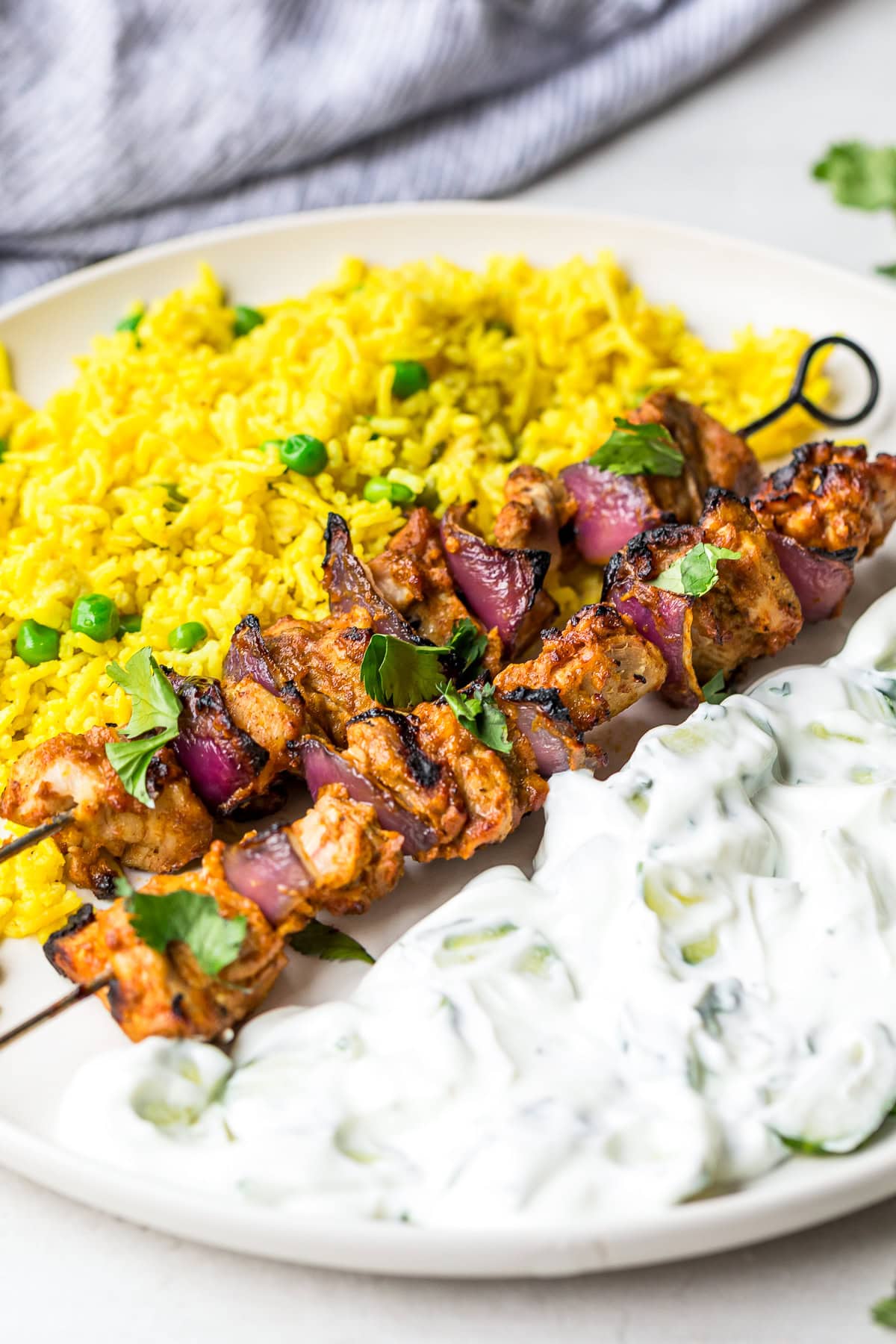 Indian chicken kabob with rice