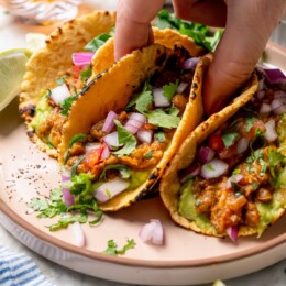 Hand lifting lentil taco from plate