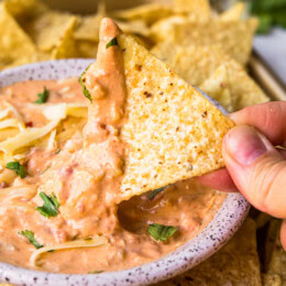queso with chip