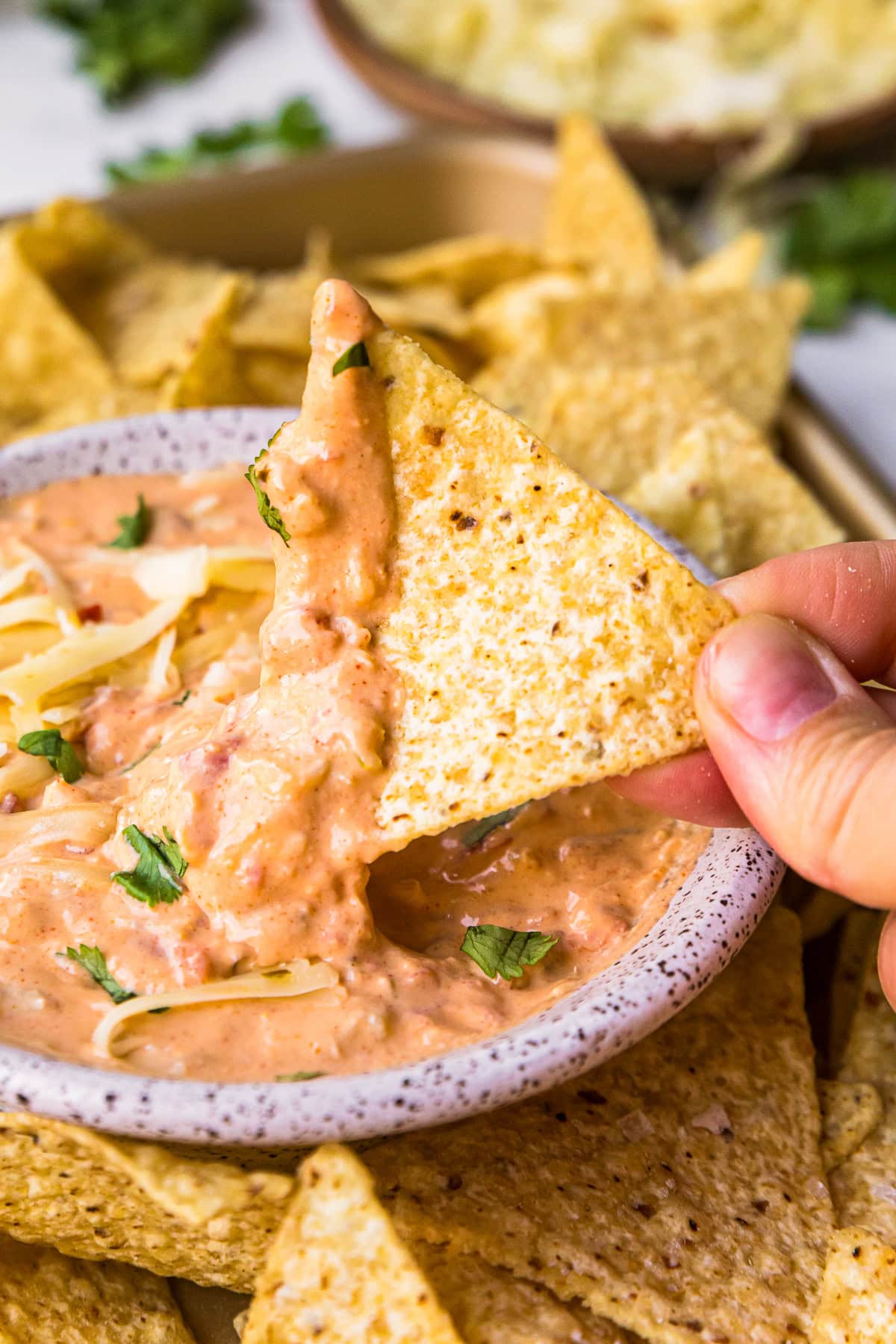 queso with chip
