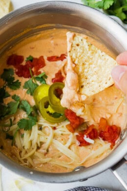 Cottage Cheese Queso Dip