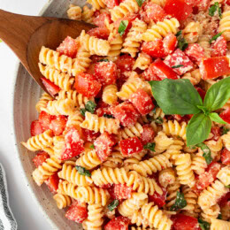Fresh Tomato Pasta